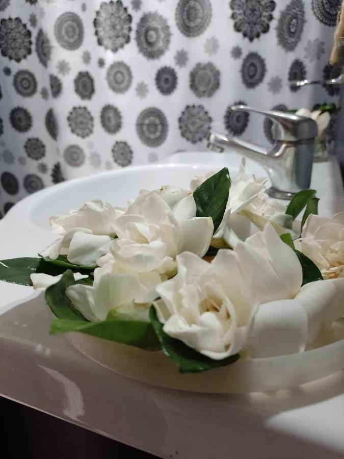 Hostal Ciudad Recoleta Buenos Aires Luaran gambar